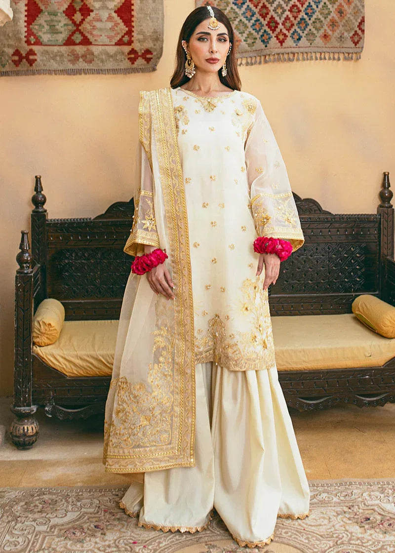 Daud Abbas | Formals Collection | Rasm - Rang-e-Khaas