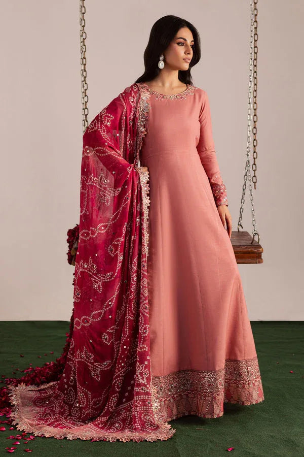 Nureh | Jugni Festive | NP-696 - Rang-e-Khaas