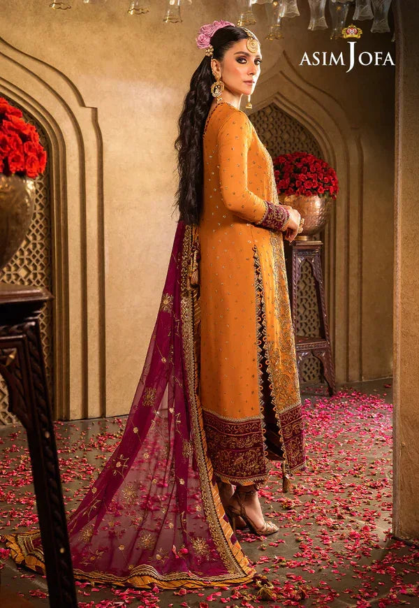 Asim Jofa | Velvet Festive 23 | AJVF-07 - Rang-e-Khaas