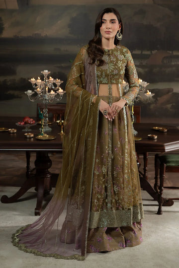 Nureh | Elanora Formals 25 | NEL-68 - Rang-e-Khaas