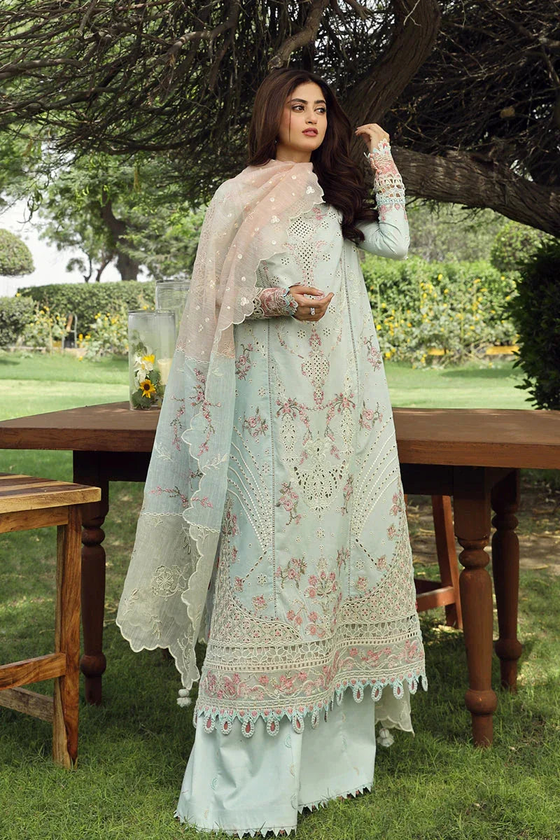 Qalamkar | Festive Lawn 2024 | PS-01 ALIZAY - Rang-e-Khaas