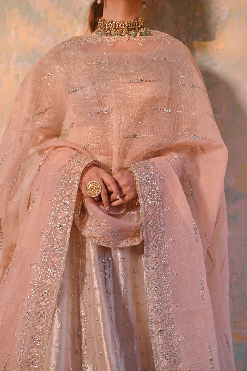 QALAMKAR - SF 04 INSHA