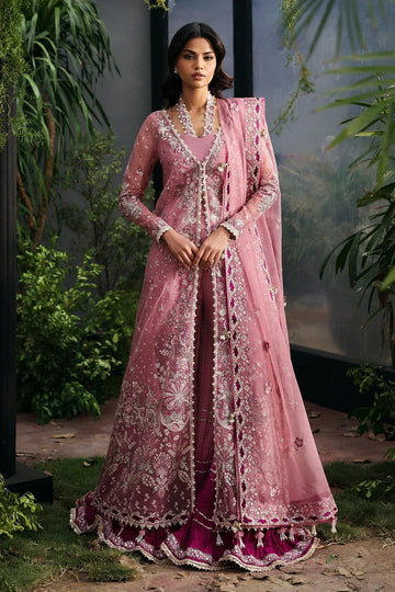 Afrozeh | La Fuchsia 25 | Seraira - Rang-e-Khaas