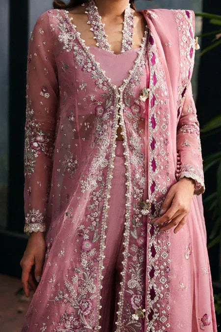 Afrozeh | La Fuschia 25 | Seraira - Rang-e-Khaas