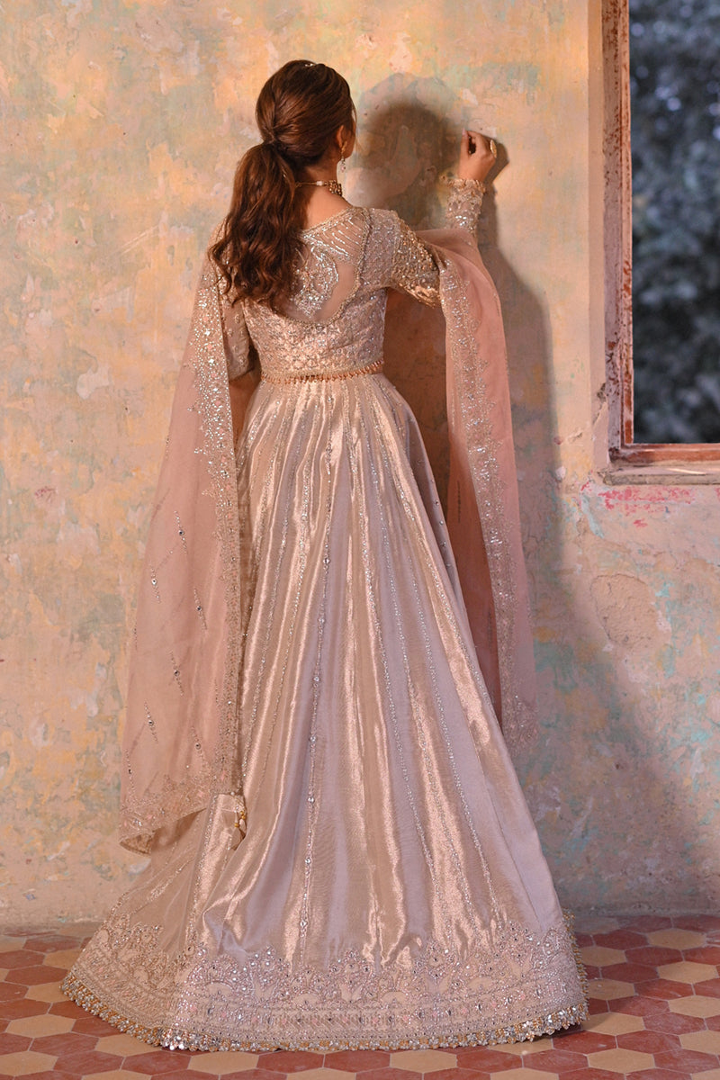 QALAMKAR - SF 04 INSHA