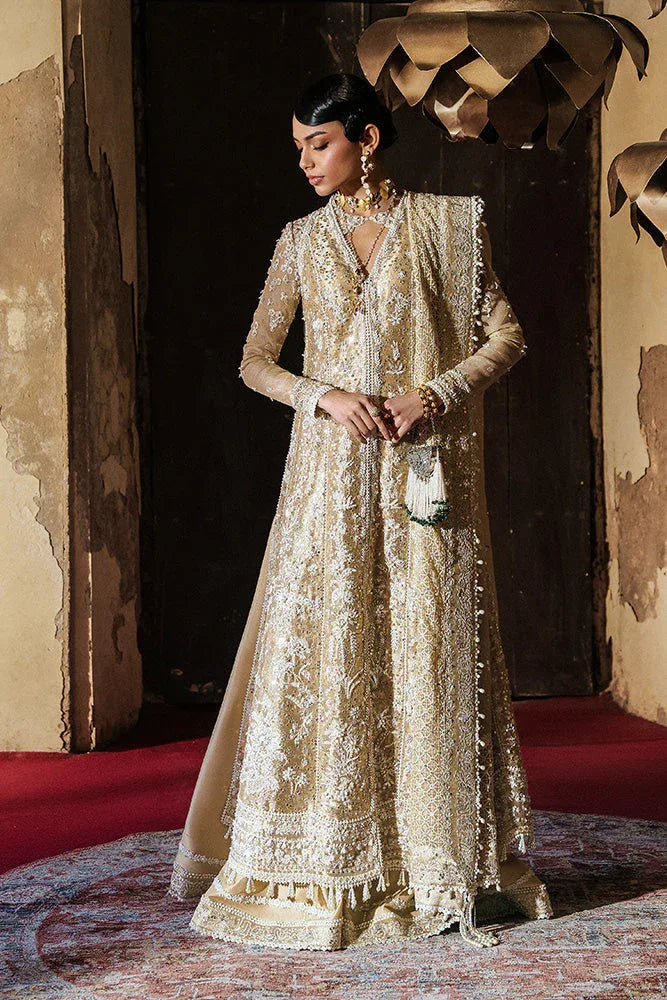 Suffuse | Freeshia Wedding Formals | GULRAIZ - Rang-e-Khaas