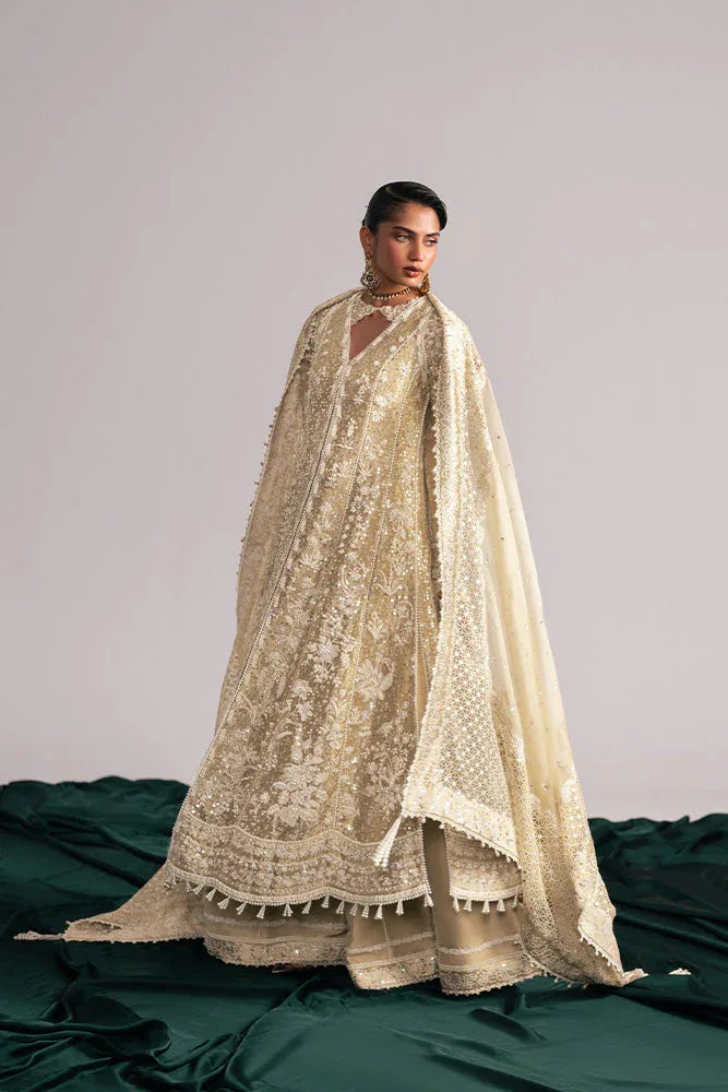 Suffuse | Freeshia Wedding Formals | GULRAIZ - Rang-e-Khaas