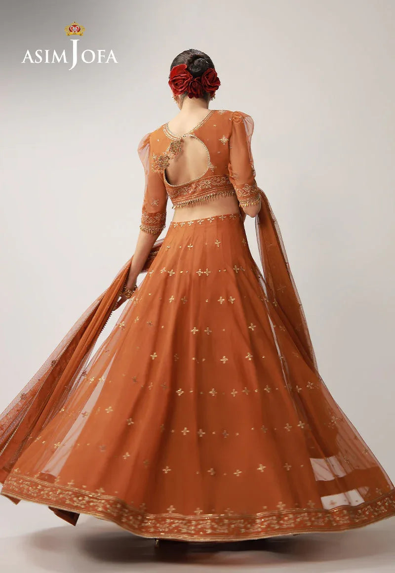 Asim Jofa | Layaan Festive Collection | AJULO-01 - Rang-e-Khaas
