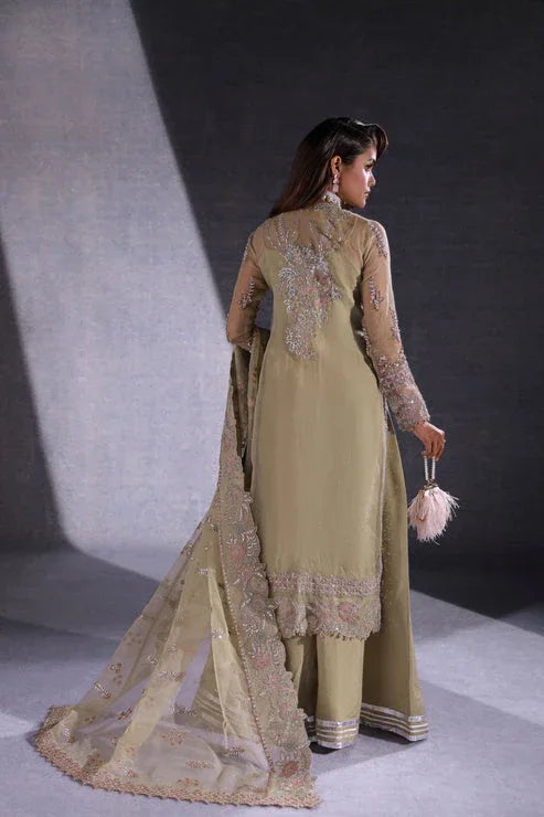 Ezra | Ermina Collection 25 | MUSKAN - Rang-e-Khaas