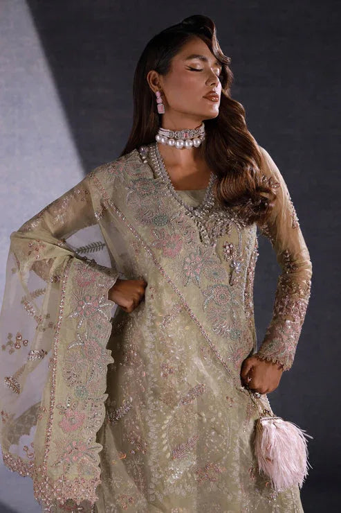 Ezra | Ermina Collection 25 | MUSKAN - Rang-e-Khaas