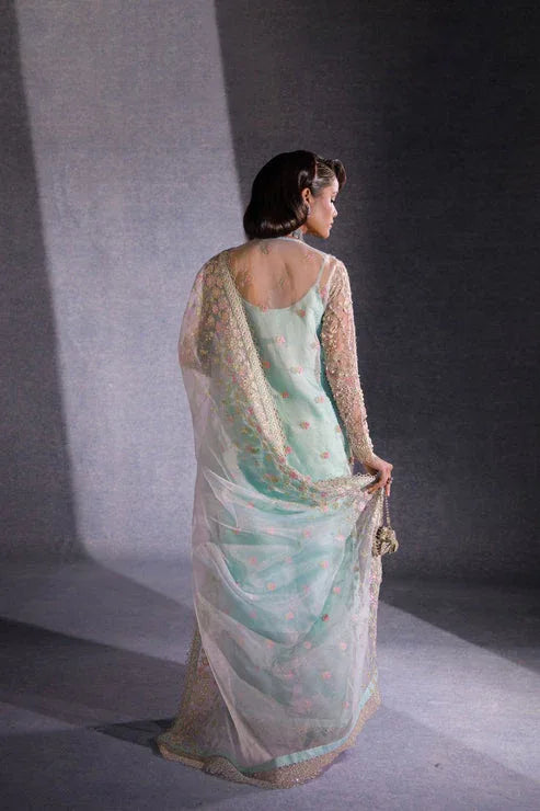 Ezra | Ermina Collection 25 | VIRSA - Rang-e-Khaas