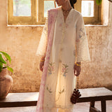 Suffuse | Basic Summer 25 | ZEYRA