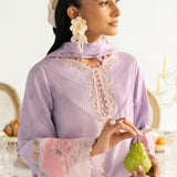 Qalamkar | Q Prints 2025 | PQ-05 ISLA