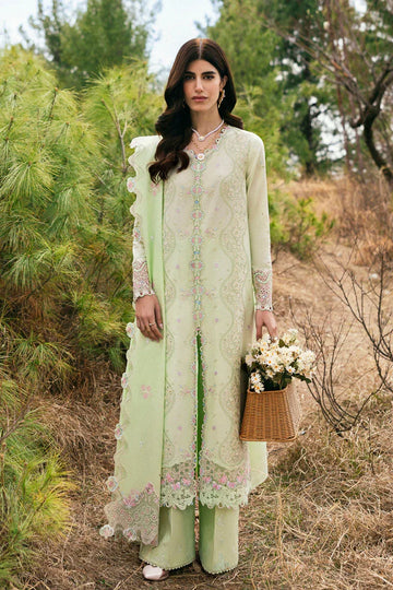 Qalamkar | Qlinekari Lawn | DC-14 Meline - Rang-e-Khaas