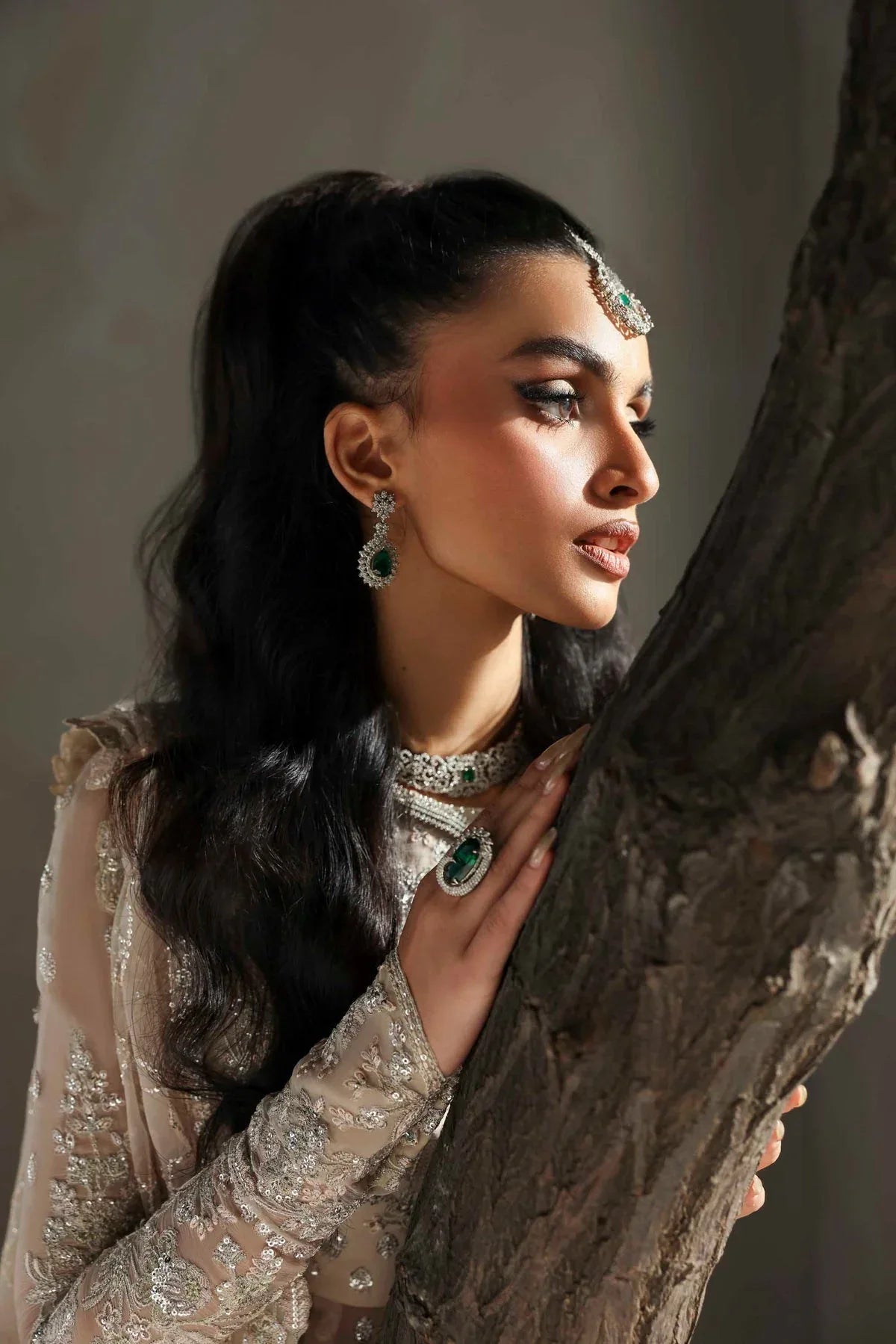 Akbar Aslam | Meeras Luxury Chiffon 25 | Sehrya - Rang-e-Khaas