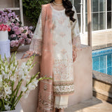 Rangrasiya | Florence Summer Edit 25 | Miraal