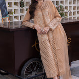 Rangrasiya | Carnation Luxury Festive Edit 25 | Kaia