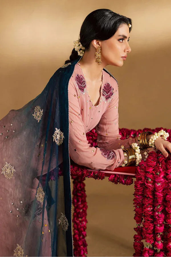 Nureh | Mukeshkari Luxe | MK-14 - Rang-e-Khaas