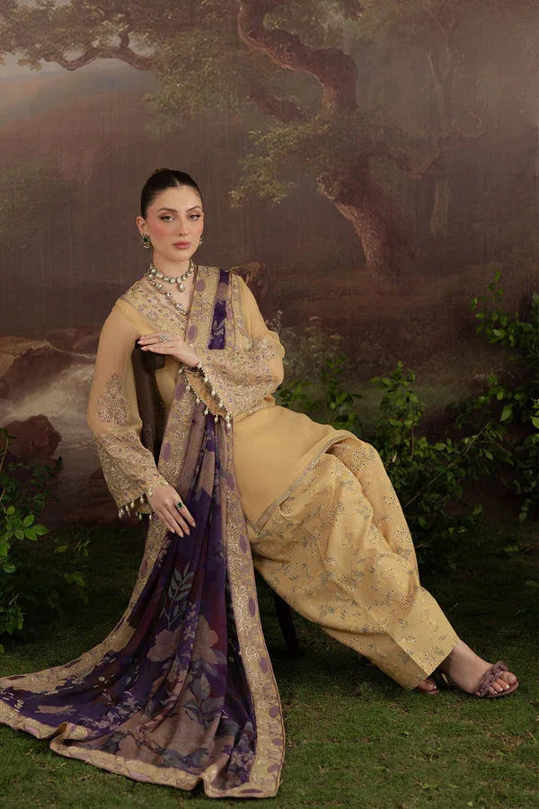Nureh | Amaya Formals | AM-14 - Rang-e-Khaas