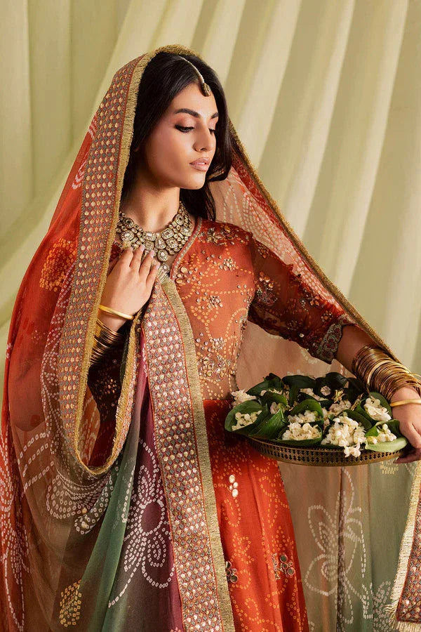 Nureh | Jugni Festive | NP-697 - Rang-e-Khaas