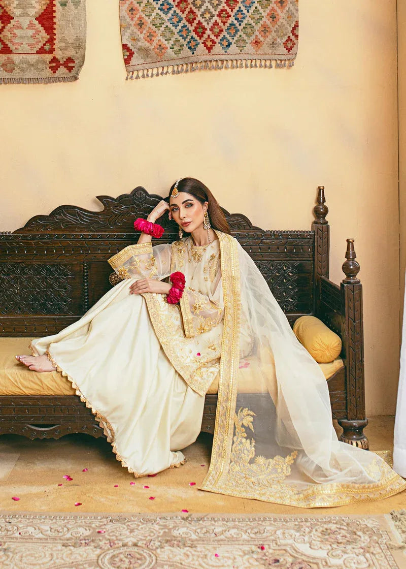 Daud Abbas | Formals Collection | Rasm - Rang-e-Khaas