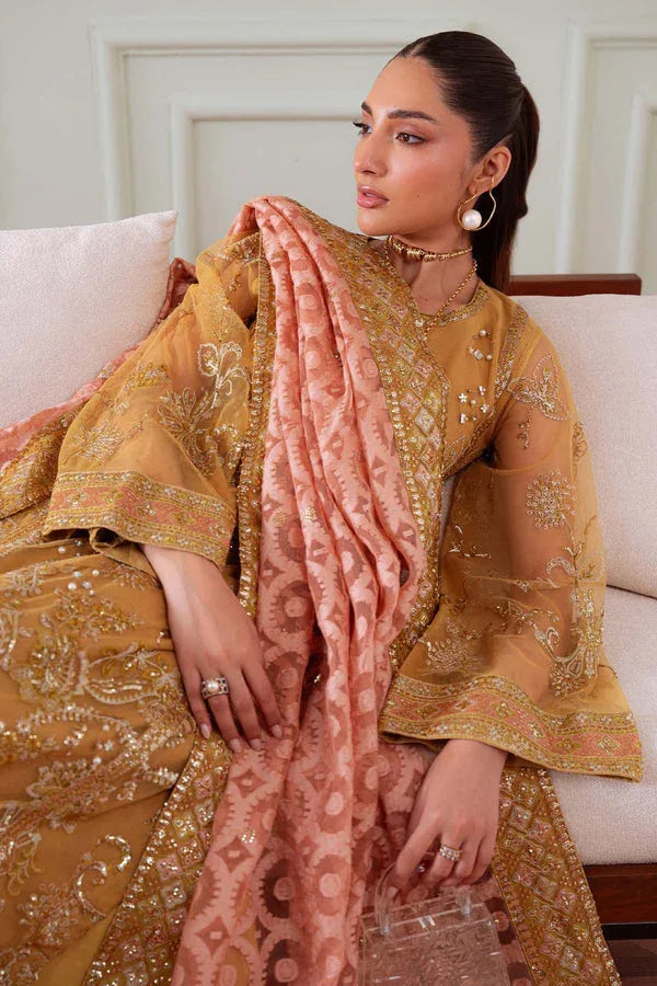 Nureh | Elanora Formals | NEL-81 - Rang-e-Khaas