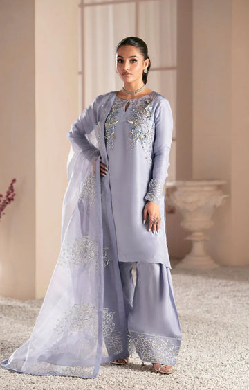 Ajr Couture | Symphony Luxe Festive 25 | Crimson - Rang-e-Khaas