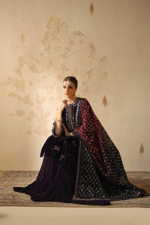 Baroque | Velvet 25 | UF-4319 - Rang-e-Khaas