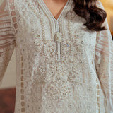 BAROQUE__EMBROIDERED CHIFFON CH13-02 STITCHED