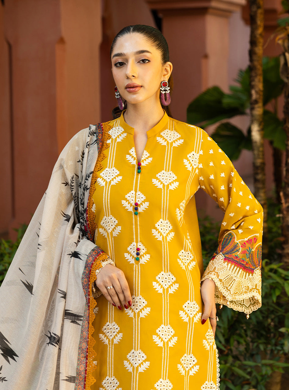 Zainab Chottani | Chikankari 25 | Aanya - 4A - Rang-e-Khaas