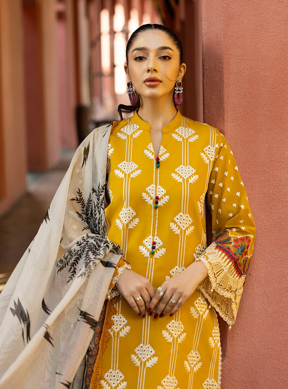 Zainab Chottani | Chikankari 25 | Aanya - 4A - Rang-e-Khaas