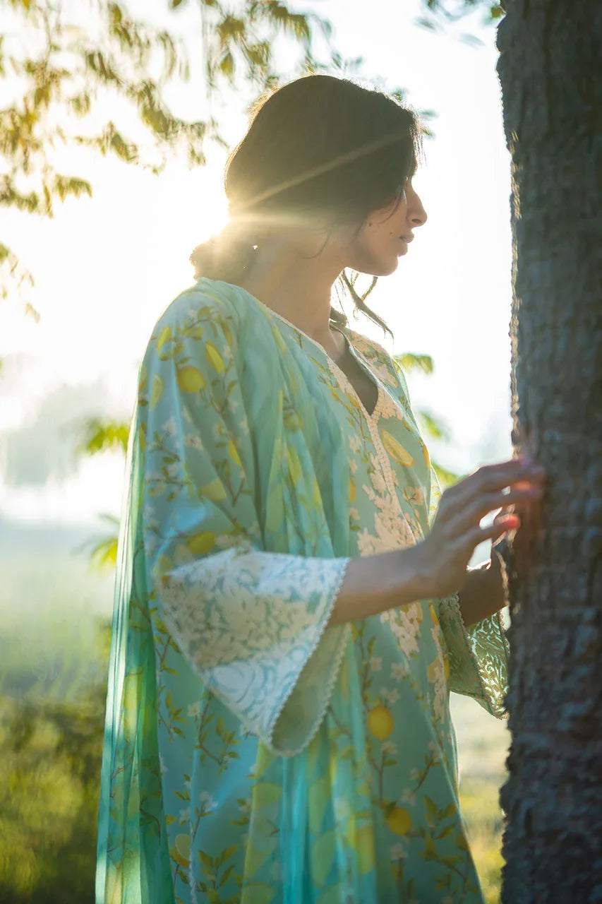 Ambar (A) - Rang-e-Khaas