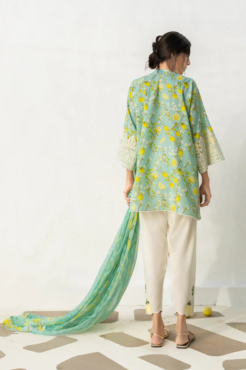 Ambar (A) - Rang-e-Khaas