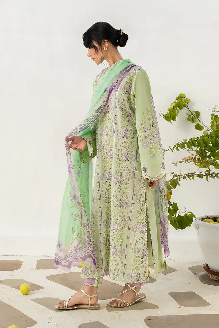 Fez (B) - Rang-e-Khaas