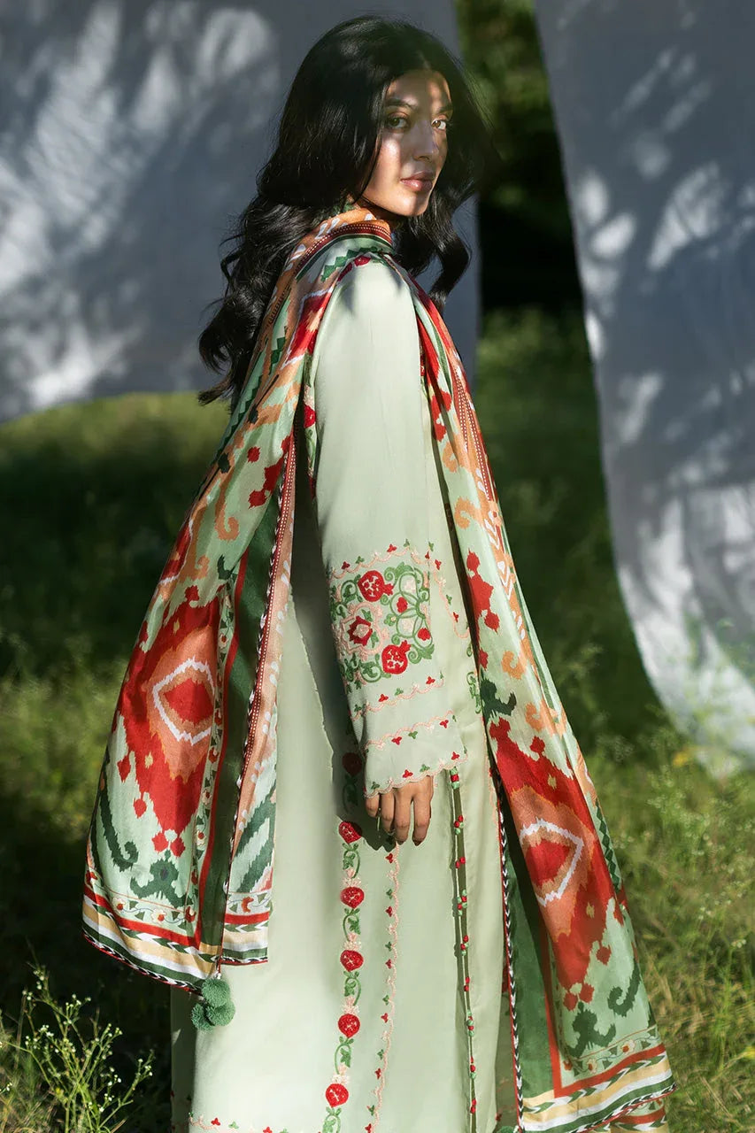 Mayil (A) - Rang-e-Khaas