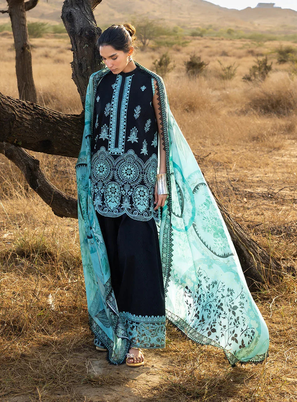 Silva 10 - Rang-e-Khaas