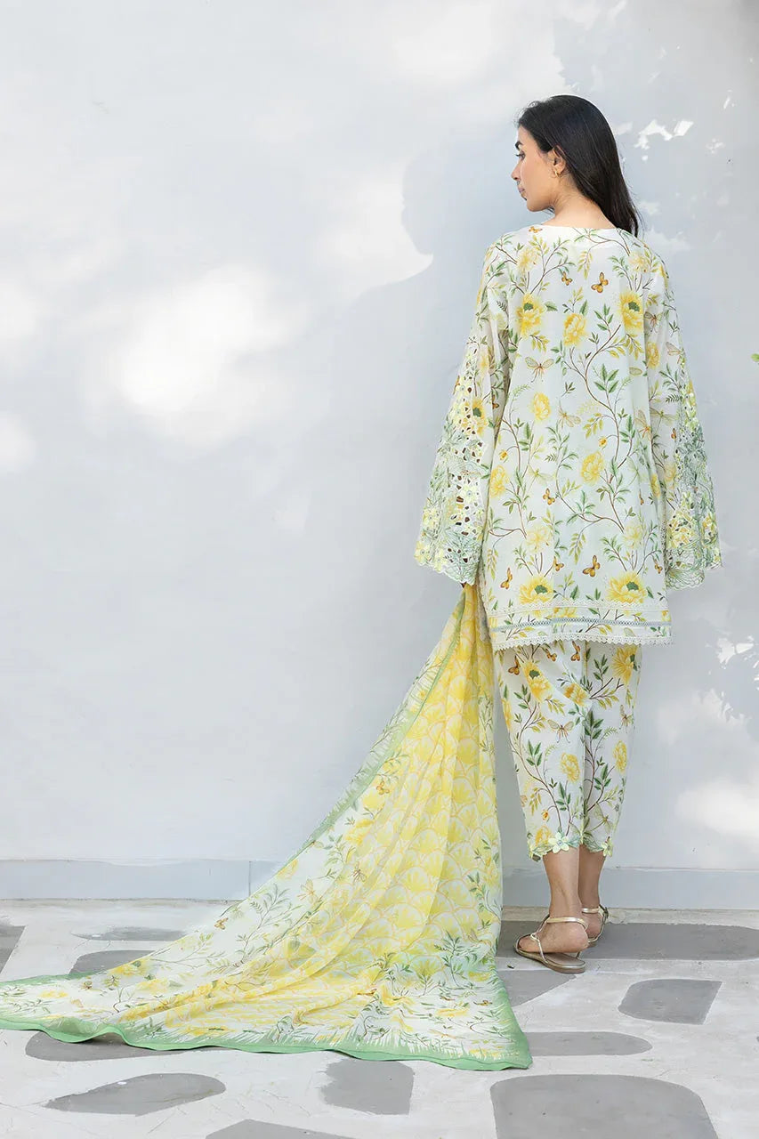 Lulu (A) - Rang-e-Khaas