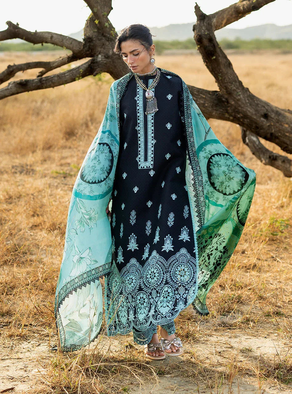 Silva 10 - Rang-e-Khaas