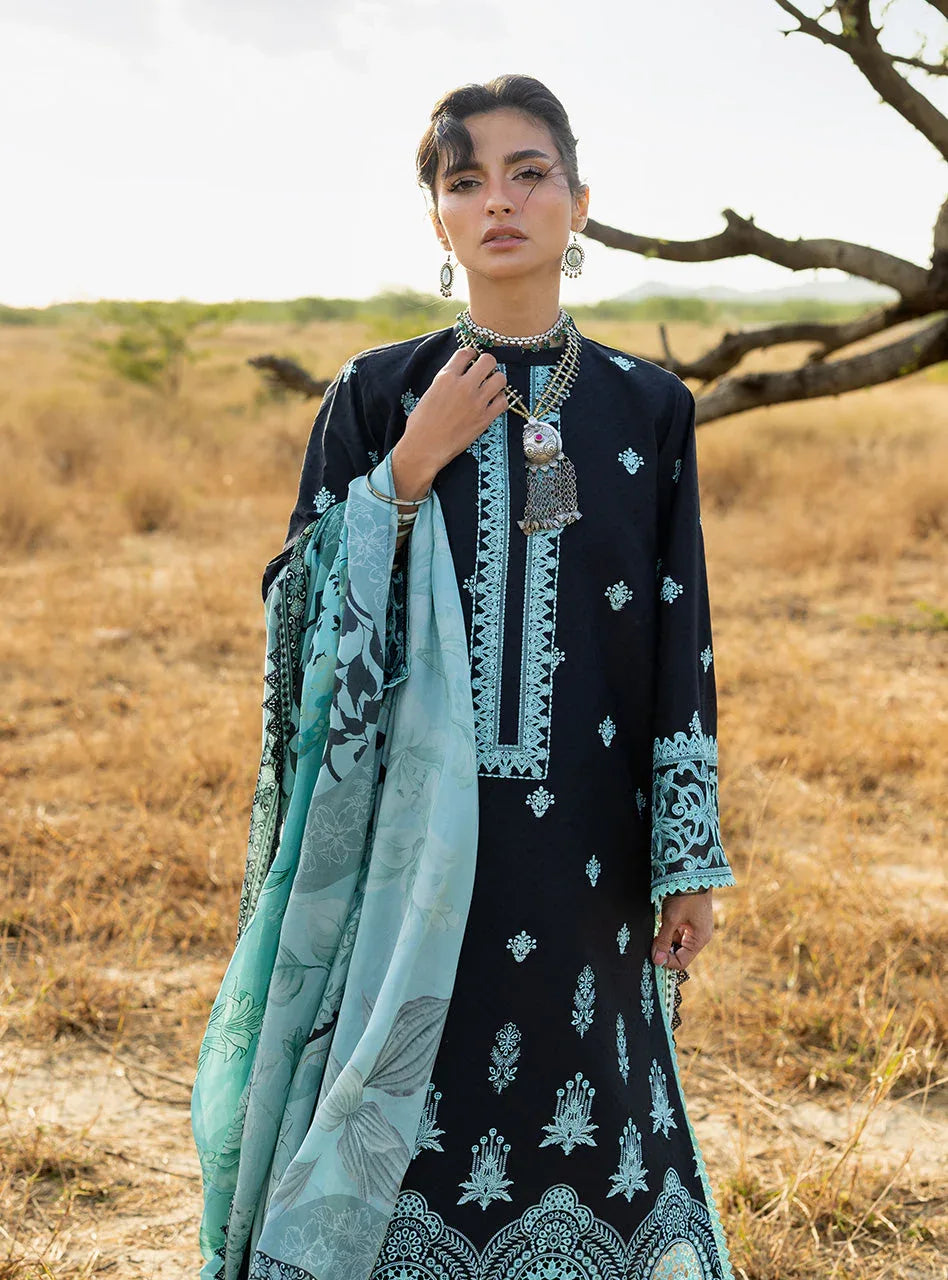 Silva 10 - Rang-e-Khaas