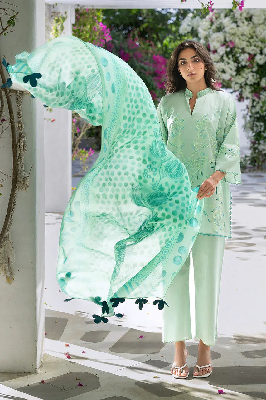 Reva (A) - Rang-e-Khaas