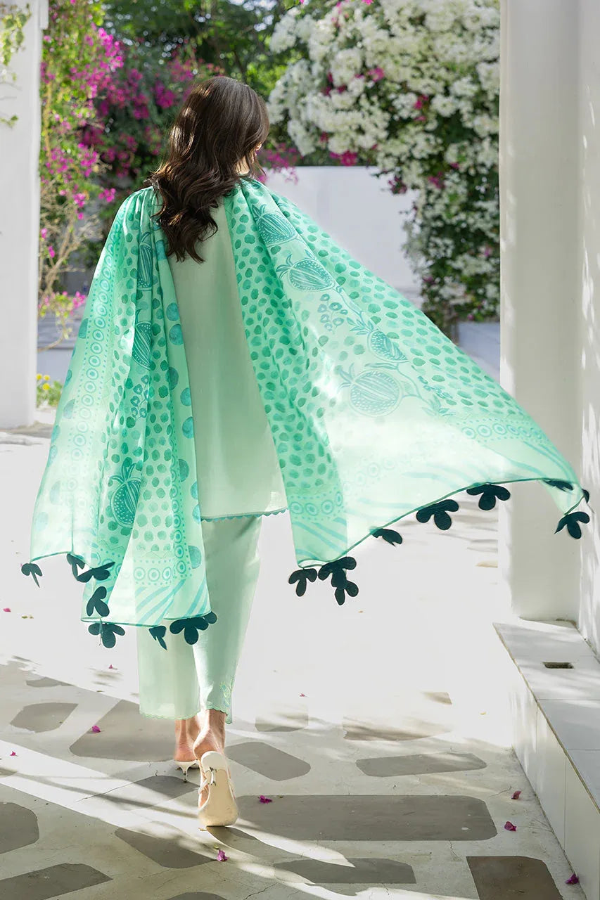 Reva (A) - Rang-e-Khaas