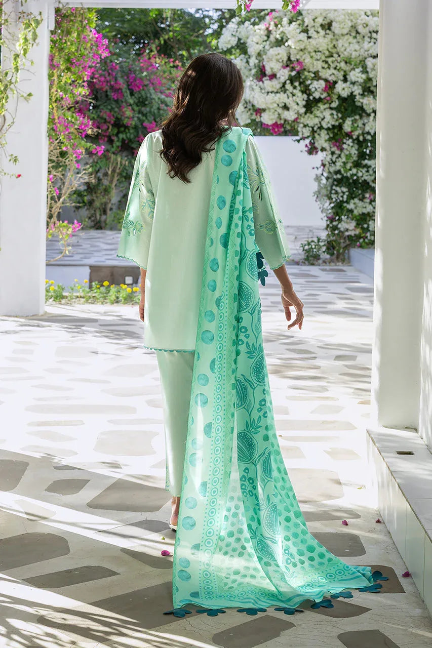 Reva (A) - Rang-e-Khaas