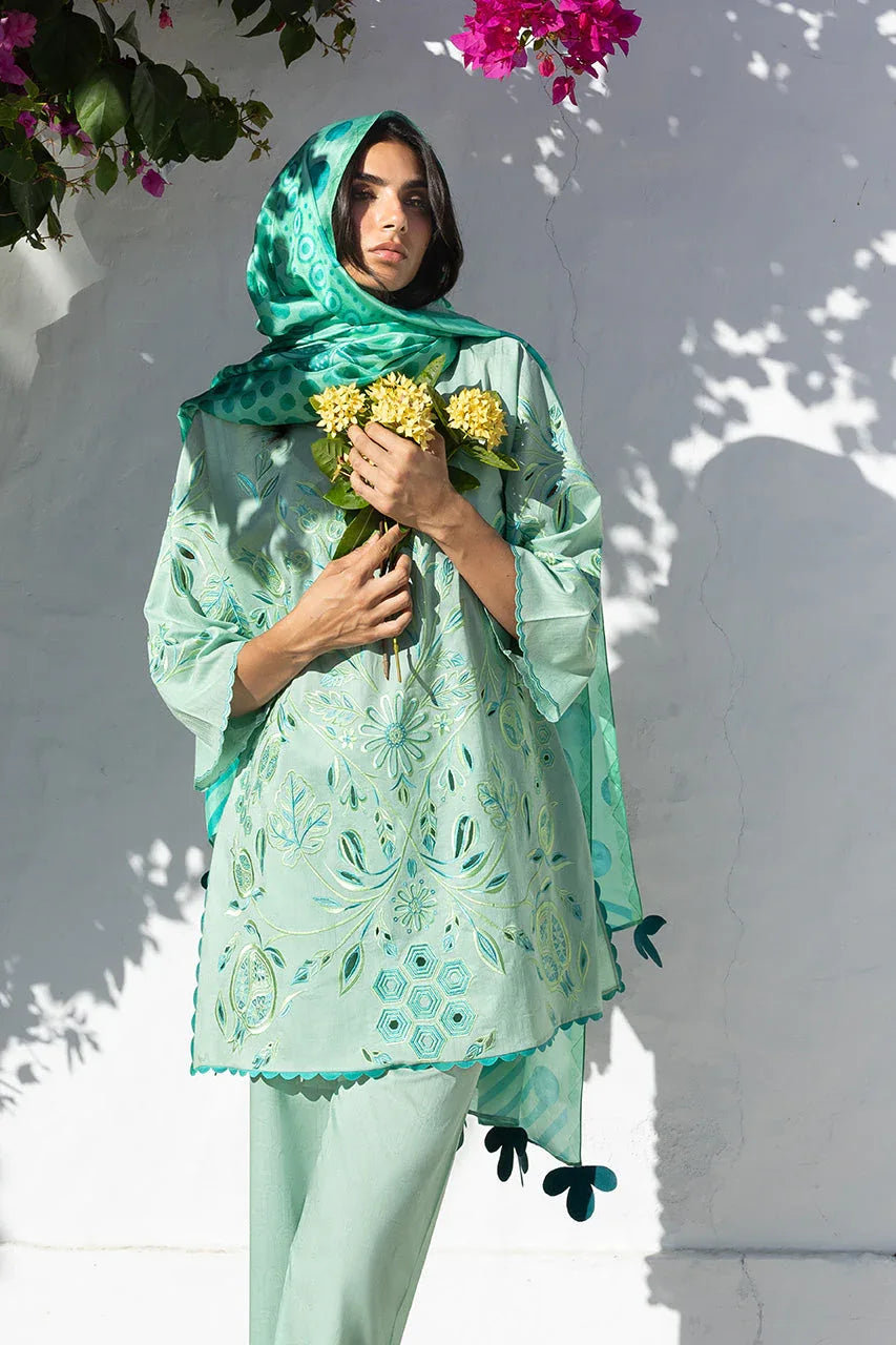 Reva (A) - Rang-e-Khaas
