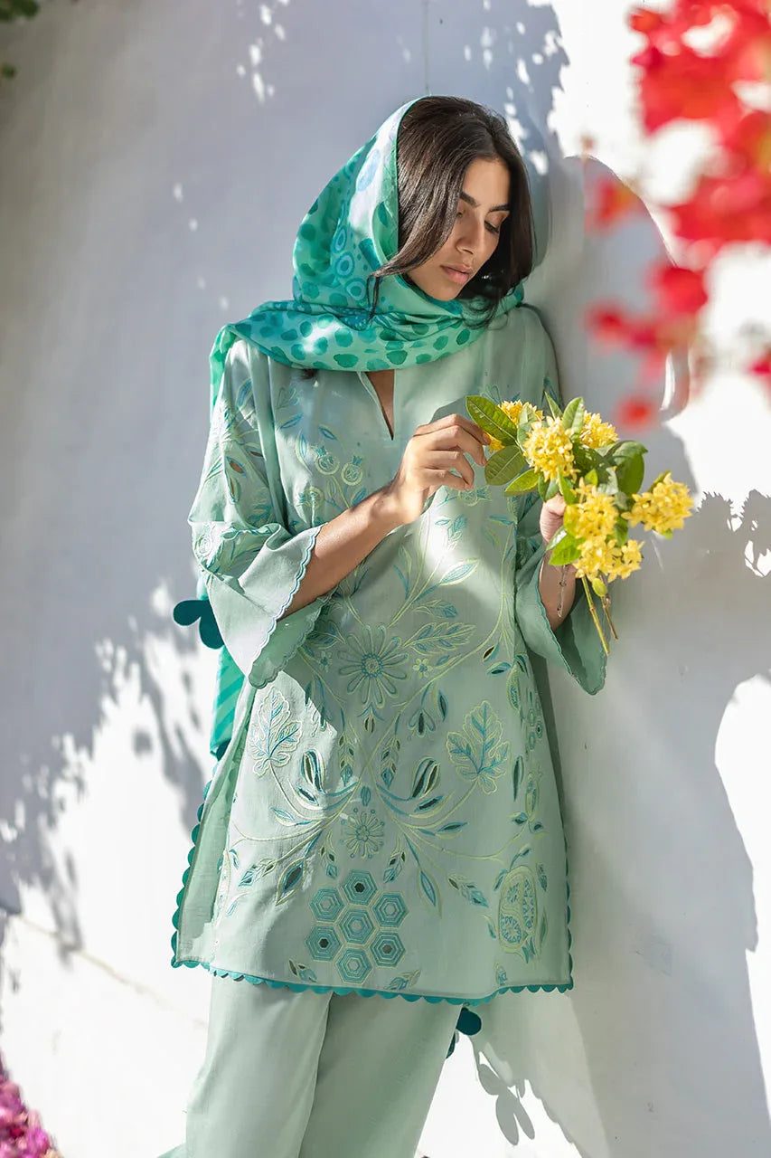 Reva (A) - Rang-e-Khaas
