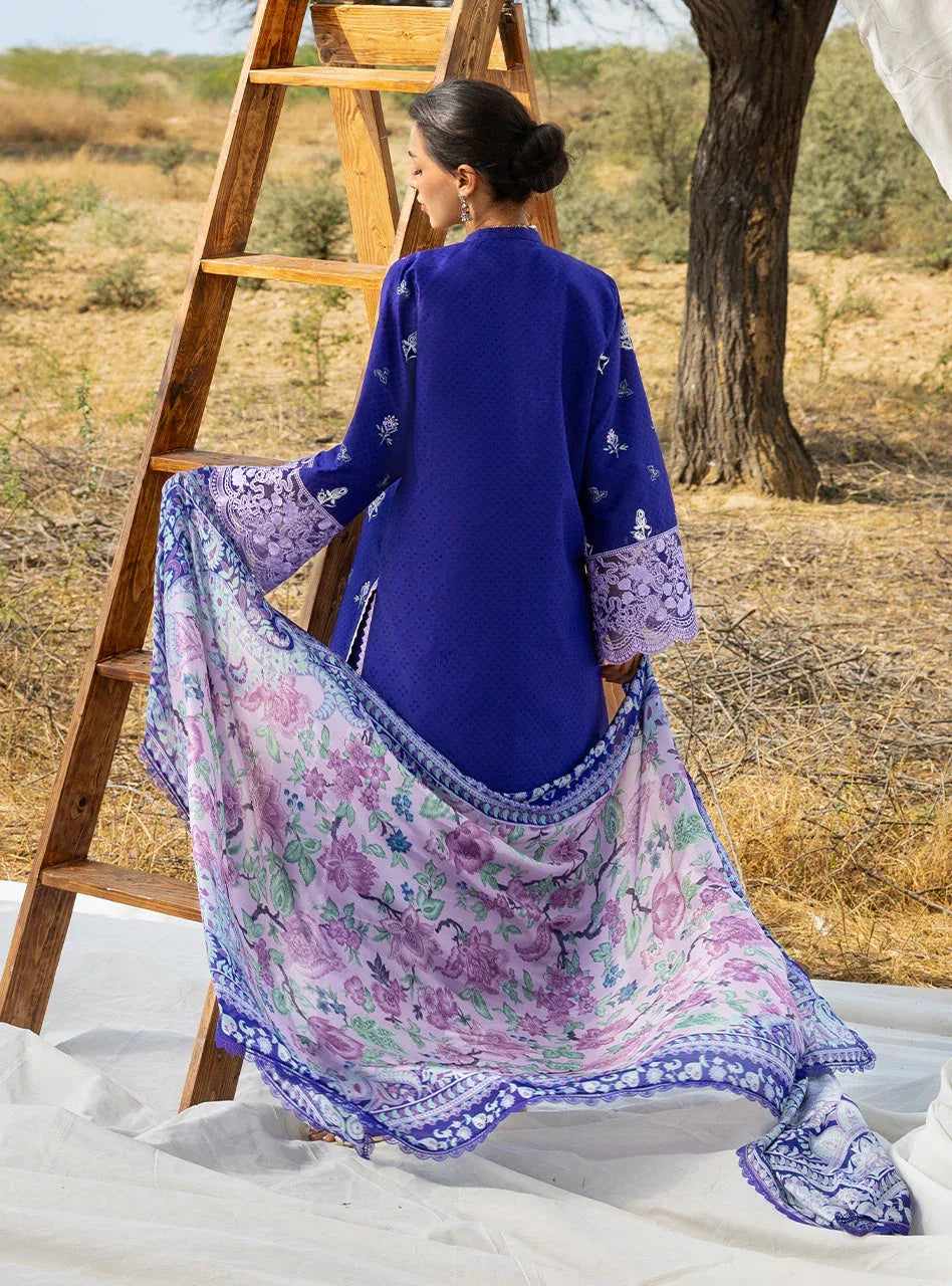 Viola 13 - Rang-e-Khaas