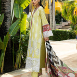 Zainab Chottani | Chikankari 25 | Rayne - 12A