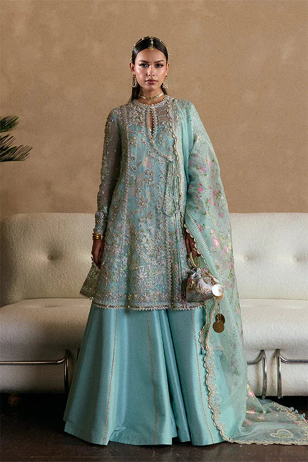 Suffuse | Freeshia RTW 25' | Illyra - Rang-e-Khaas