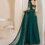 Iznik | Chinnon Chiffon | CC-47 Embroidered Chiffon