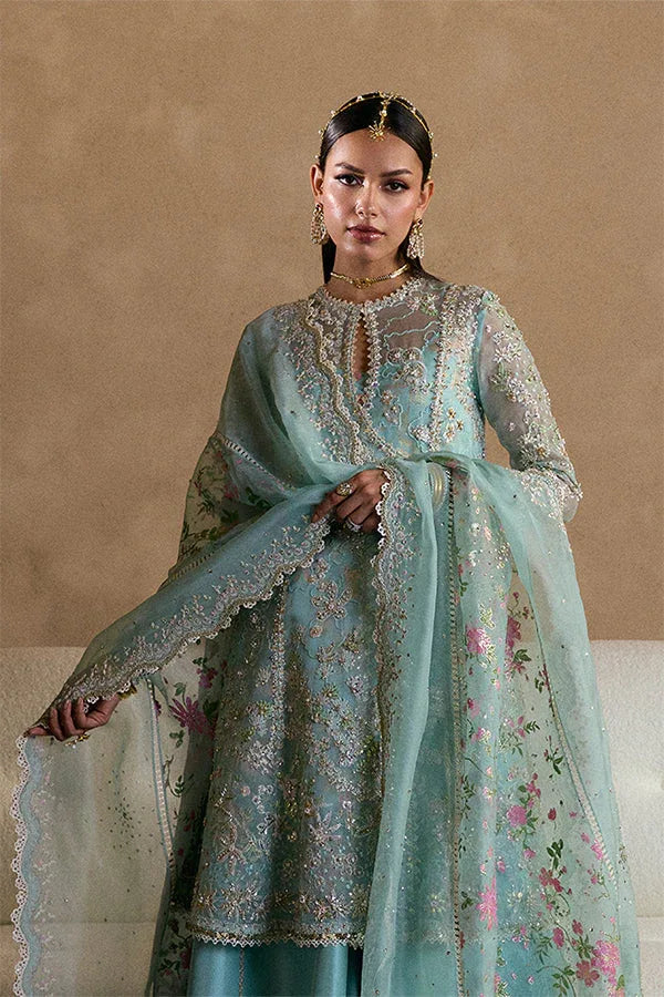 Suffuse | Freeshia RTW 25' | Illyra - Rang-e-Khaas