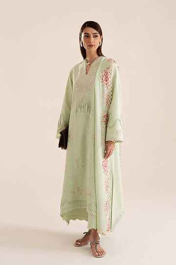 Suffuse | Basic Summer 25 | NORE - Rang-e-Khaas